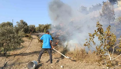 Adanada ağaçlık alanda çıkan yangın kontrol altına alındı