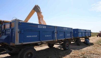 Adanada aşırı sıcaklarda üreticilerin zorlu mesaisi