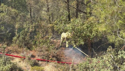 Adanada orman yangını kontrol altına alındı