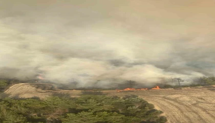 Adanada orman yangınına 6 helikopter ve 2 uçakla müdahale ediliyor