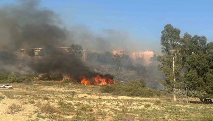 Adanada yerleşim yeri çevresinde ağaçlık alanda çıkan yangın korkuttu