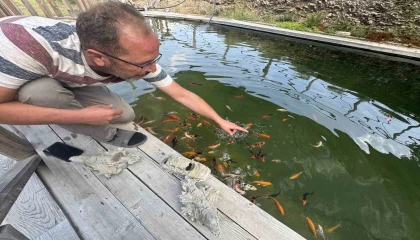 Akvaryum sevgisini yüzme havuzuna taşıdı
