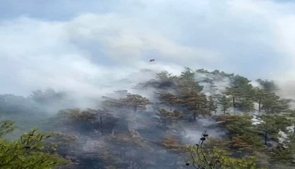 Anamurda orman yangını