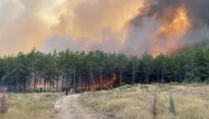 Antalyada 2025te 118 orman yangını çıktı, 540 hektar alan zarar gördü