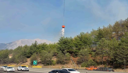 Aracın neden olduğu orman yangını kontrol altına alındı