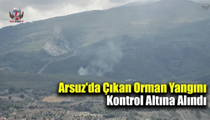 Arsuz'da çıkan orman yangını kontrol altına alındı