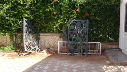 Bir anda gaza basınca kapıya çarpıp komşusunu ezdi