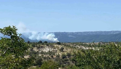 Bozyazıda orman yangını