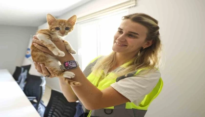 Çaya düşüp hayatta kalma mücadelesi veren yavru kediyi ekipler kurtardı