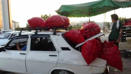 Çiftçilerin zorlu biber mesaisi