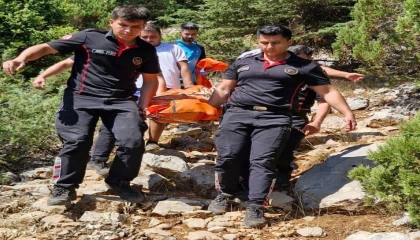 Ekşi toplamak için gittiği arazide hayatını kaybetti