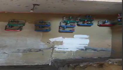 Evinde saka kuşu bulunan şahsa 151 bin 200 lira para cezası