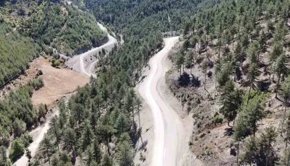 Fekede 75 yıl sonra genişletilen yollar ormanın güzelliğini ortaya çıkardı