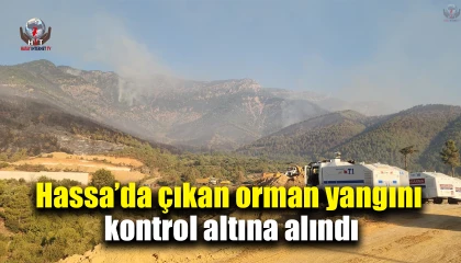 Hassada çıkan orman yangını kontrol altına alındı