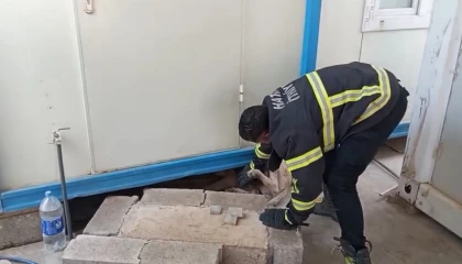 Hatayda konteynerin altına sıkışan köpek kurtarıldı