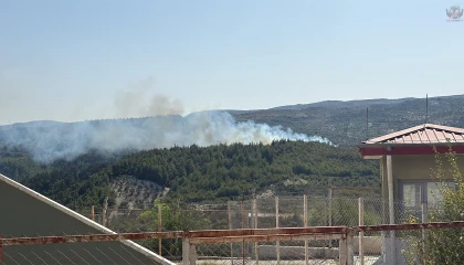 Hatay'da orman yangını