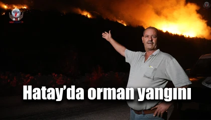 Hatay’da orman yangını