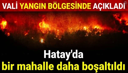 Hatay'da Orman Yangını: 540 Kişi Tahliye Edildi