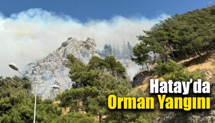 Hatay’da orman yangınına havadan ve karadan müdahale sürüyor