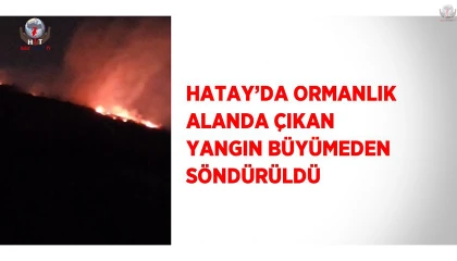 Hatayda ormanlık alanda çıkan yangın büyümeden söndürüldü