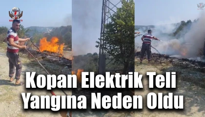 Hatayda sıcaktan kopan elektrik teli yangına neden oldu