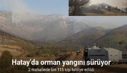 Hatayda yangın bölgesine yakın mesafedeki 2 mahallede bin 115 kişi tahliye edildi