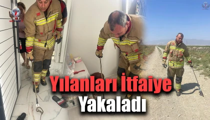 Hatay’da yerleşim yerlerine giren yılanları itfaiye yakaladı