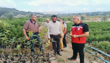 İl Tarım Müdürü Türkmen, fidan üretim sahalarını inceledi