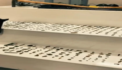 Ispartada 481 parça tarihi eser ele geçirildi