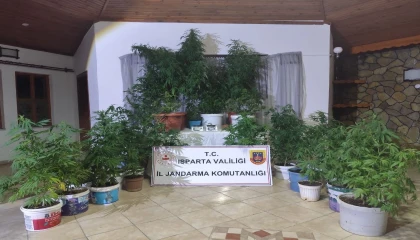 Ispartada uyuşturucu operasyonu