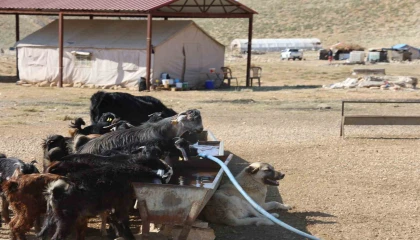Kahramanmaraşta konargöçerler Ahır Dağı zirvesindeki yerlerini aldı
