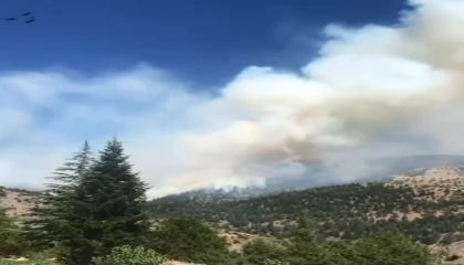 Kahramanmaraşta orman yangını