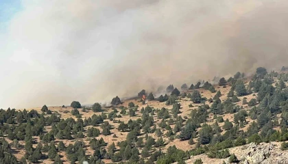 Kahramanmaraştaki orman yangını ekiplerin müdahalesi sürüyor