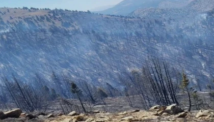 Kahramanmaraştaki orman yangını sürüyor