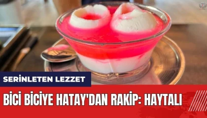 Kavurucu sıcağın vazgeçilmez lezzeti Haytalı oldu