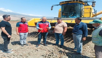 Kırıkhanda ayçiçeği hasadı başladı