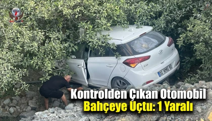 Kontrolden çıkan otomobil bahçeye uçtu: 1 yaralı