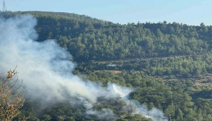 Manavgatta ormanlık alanda yangın