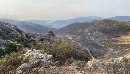 Mersin Silifkede yangın büyük ölçüde kontrol altına alındı