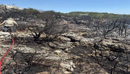 Mersin Silifkede yangın ormanı sarmadan söndürüldü