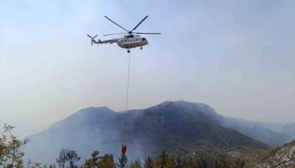 Mersin Silifkedeki orman yangını 3üncü gününde