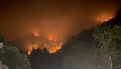 Mersinde iki ilçede orman yangınları sürüyor