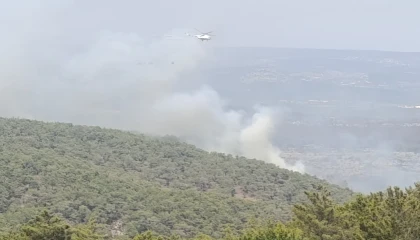 Mersinde kaynak yaparken orman yangınına neden olan firma sahibi ile 4 kişi tutuklandı