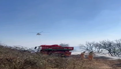 Mersinde orman yangını havadan ve karadan müdahale ile söndürüldü