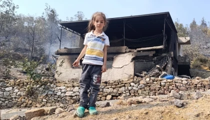 Mersinde orman yangınında evler yandı, hayvanlar telef oldu