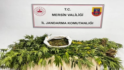Mersinde uyuşturucu operasyonu