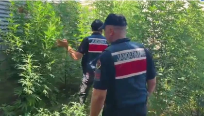 Mersinde uyuşturucu operasyonu: 8 gözaltı