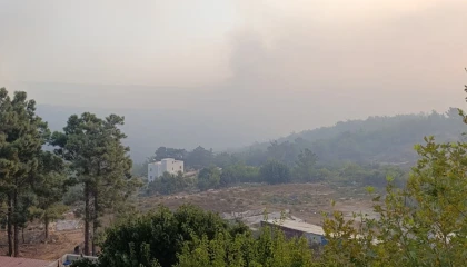 Mersindeki orman yangını 2. gününde
