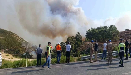 Mersindeki orman yangını: 5 ilden takviye geldi ekiplerin müdahalesi sürüyor
