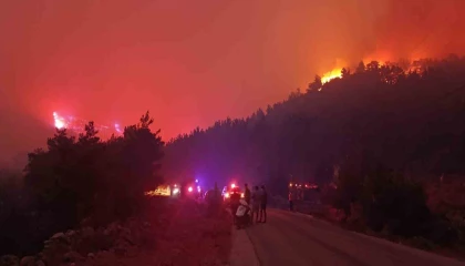 Mersindeki orman yangınına müdahale sürüyor